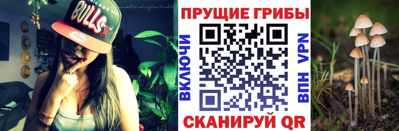 OMG как зайти  Белебей  Галлюциногенные грибы мицелий 